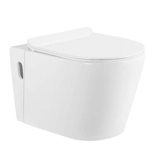 Ano ang mga pakinabang ng hedge intelihenteng banyo kumpara sa mga regular na banyo?